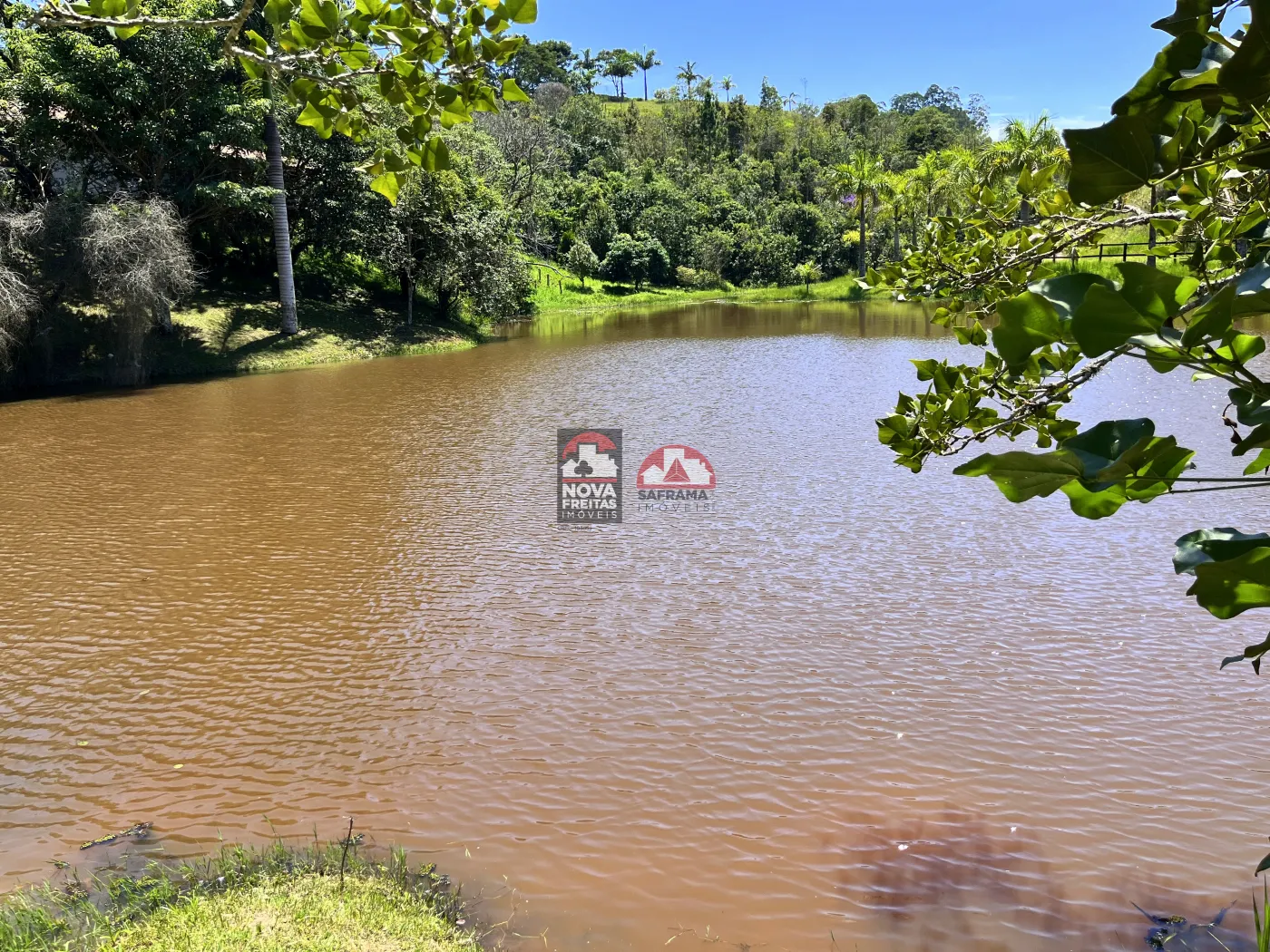 Rural / Fazenda em Santa Branca 