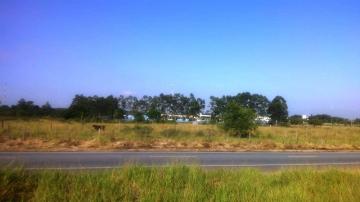Alugar Terreno / Área em Pindamonhangaba. apenas R$ 3.300.000,00