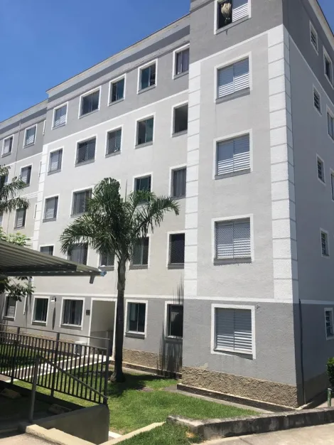 Jacareí - Jardim Califórnia - Apartamento - Padrão - Locaçao